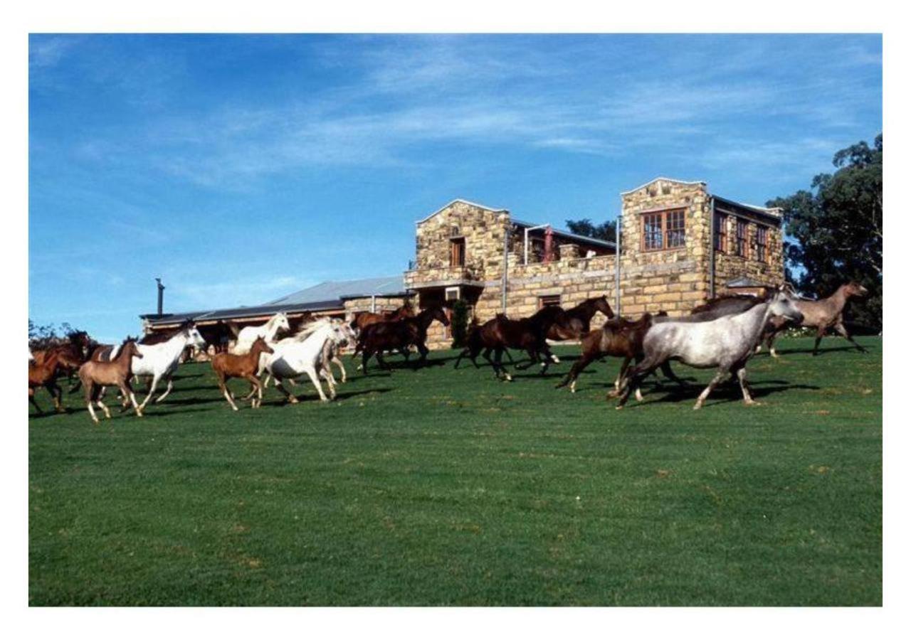 Moolmanshoek Private Game Reserve 富里斯堡 外观 照片